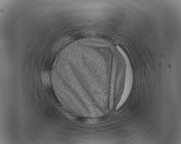 X0000067500335200605051809