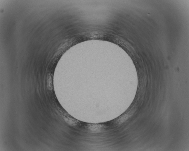 X0000067500336200605051809