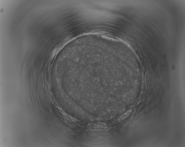 X0000067500337200605051809