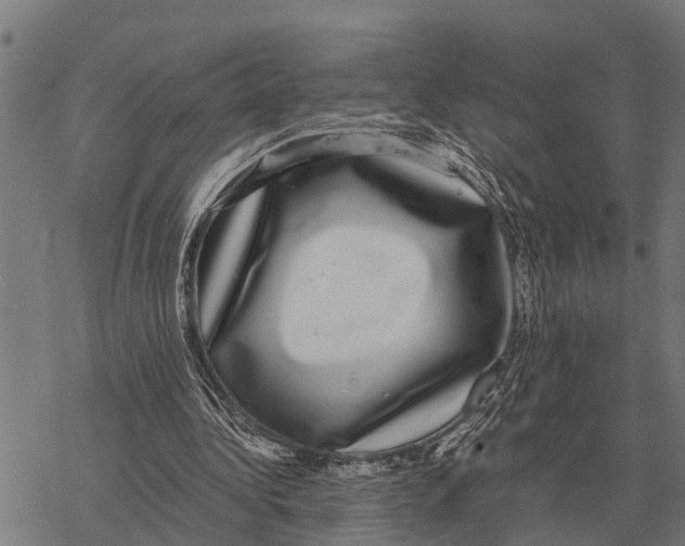 X0000067500340200605051809