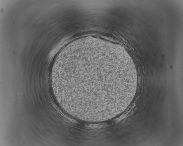 X0000067500341200605051809