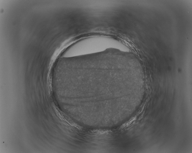 X0000067500343200605051809