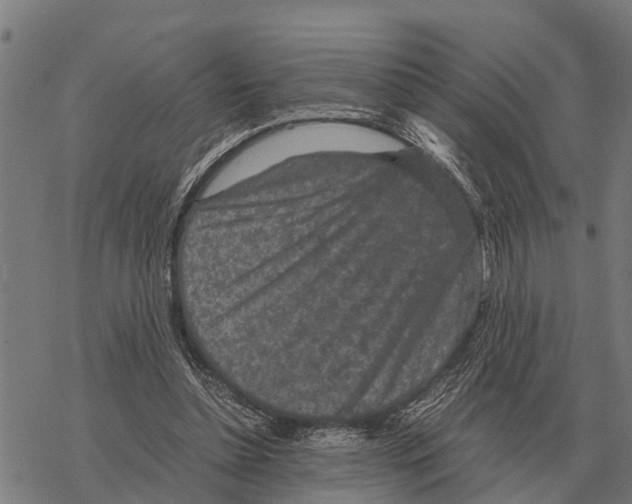 X0000067500348200605051809