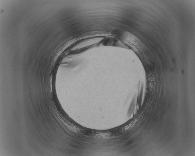 X0000067500350200605051809