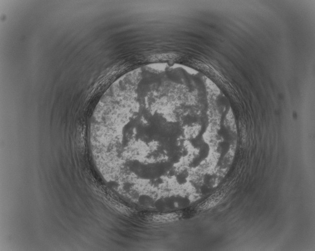 X0000067500357200605051809