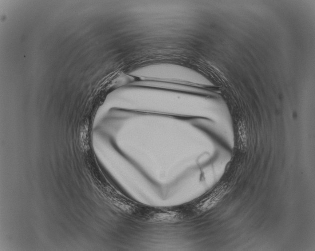 X0000067500364200605051809