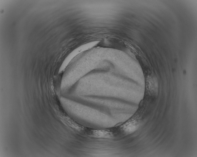X0000067500380200605051809