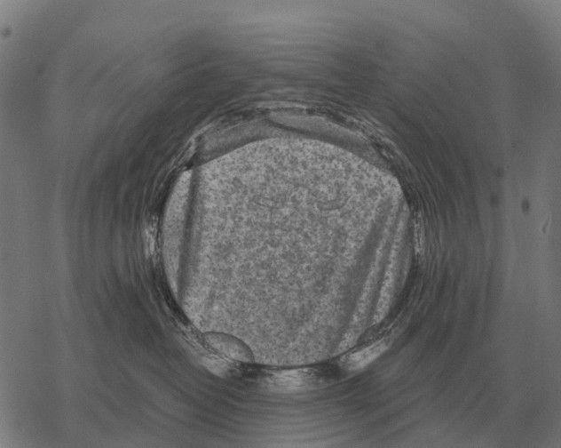 X0000067500382200605051809