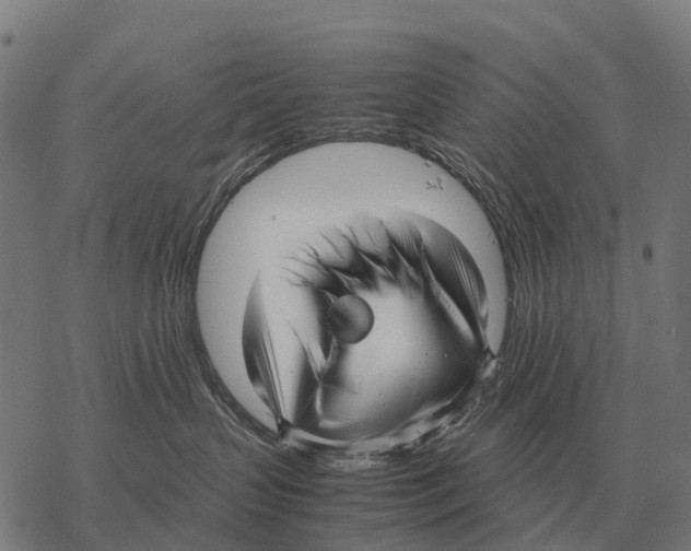 X0000067500383200605051809