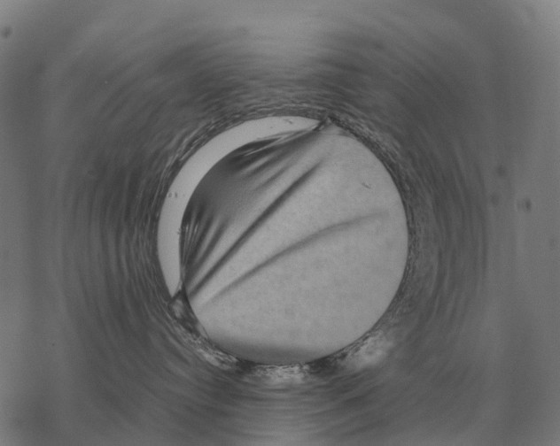 X0000067500384200605051809