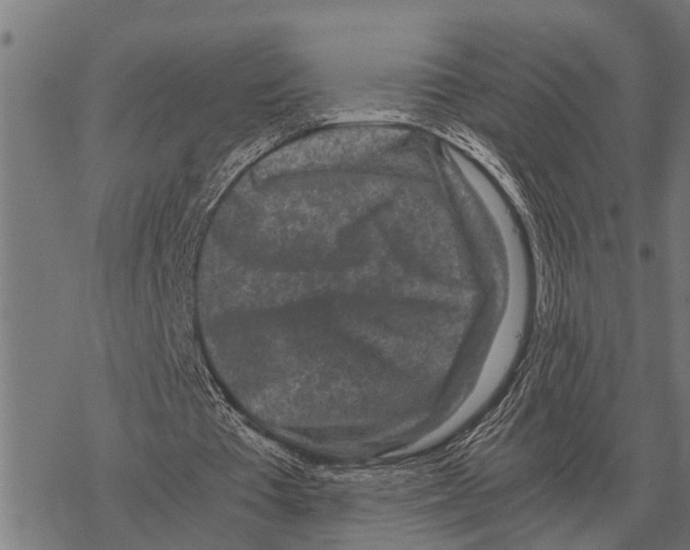 X0000067500385200605051809