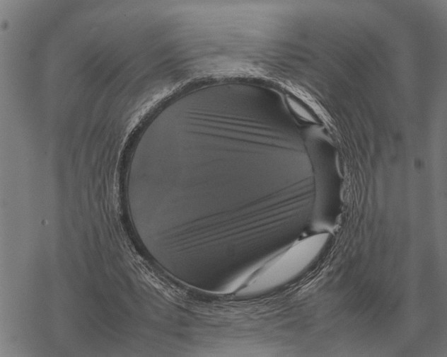 X0000067500391200605051809