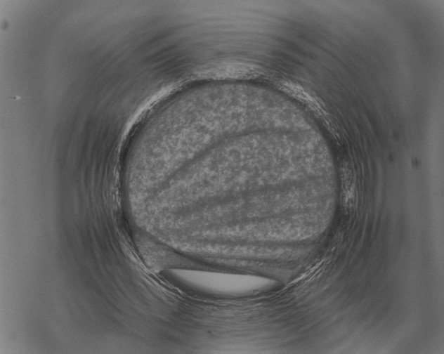 X0000067500392200605051809