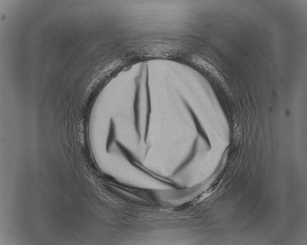 X0000067500403200605051808