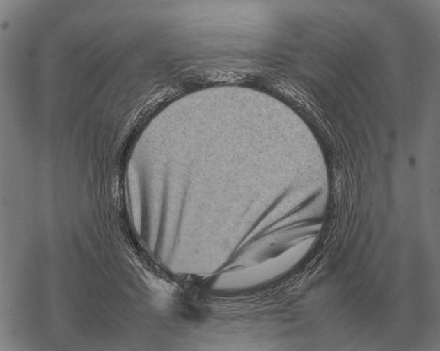 X0000067500407200605051808