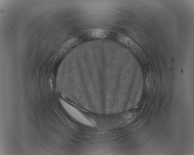 X0000067500424200605051808