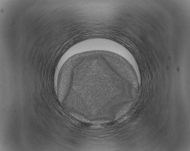 X0000067500425200605051808