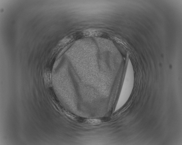 X0000067500429200605051808