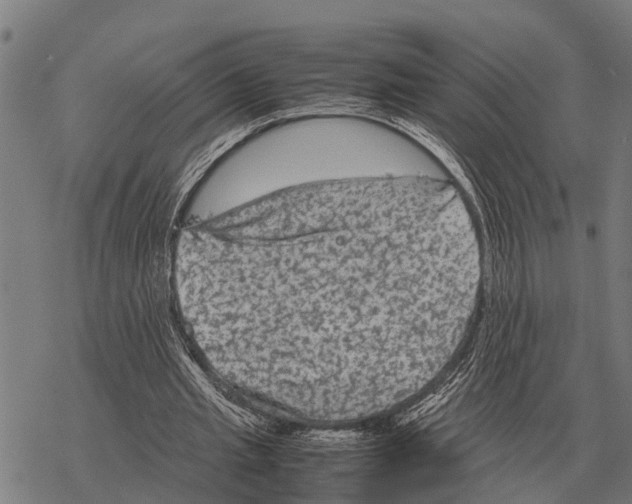 X0000067500437200605051807