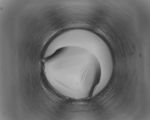 X0000067500448200605051807