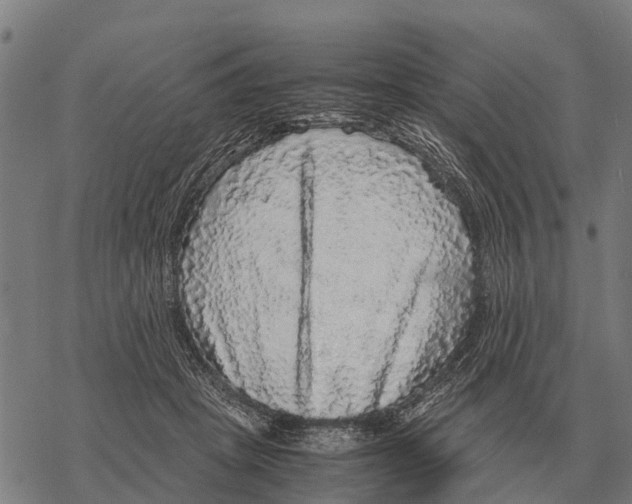 X0000067500457200605051807