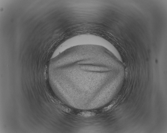 X0000067500464200605051808