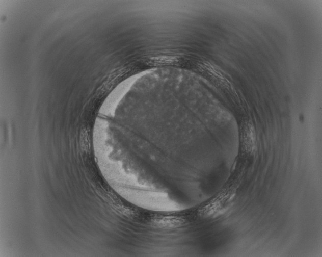 X0000067500467200605051808