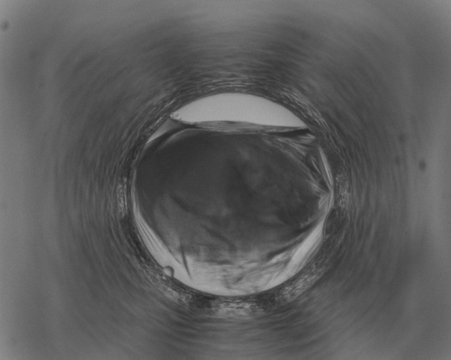 X0000067500471200605051808