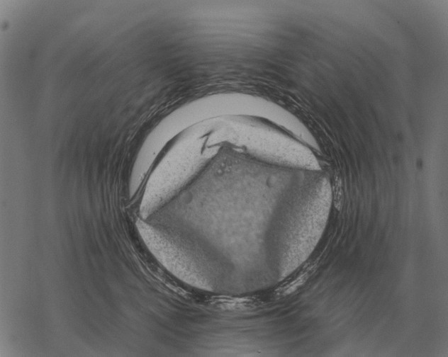 X0000067500472200605051808