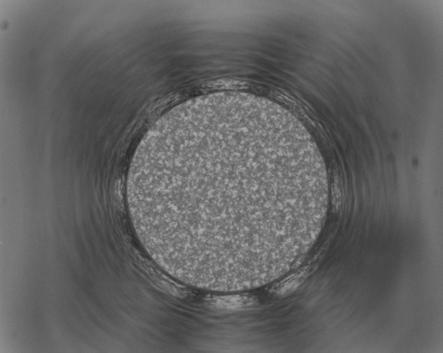 X0000067500473200605051808