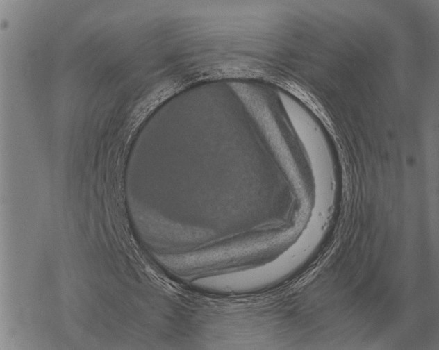 X0000067500481200605051807
