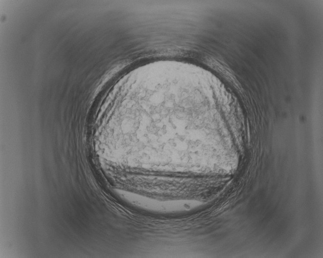 X0000067500483200605051807