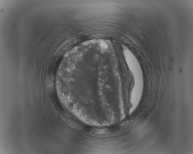 X0000067500507200605051807