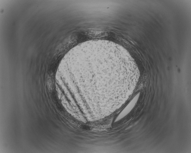 X0000067500515200605051806