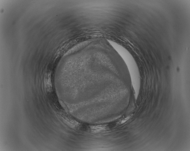 X0000067500516200605051806