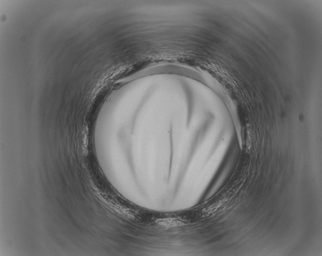 X0000067500544200605051806