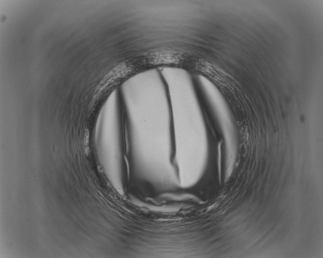 X0000067500556200605051806