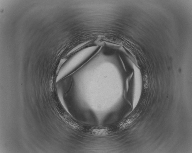 X0000067500560200605051806