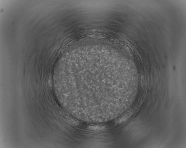 X0000067500561200605051806