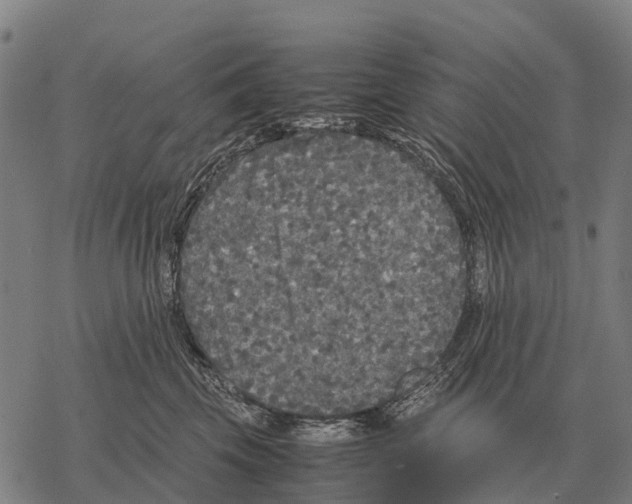 X0000067500569200605051806