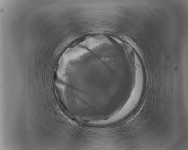 X0000067500577200605051805