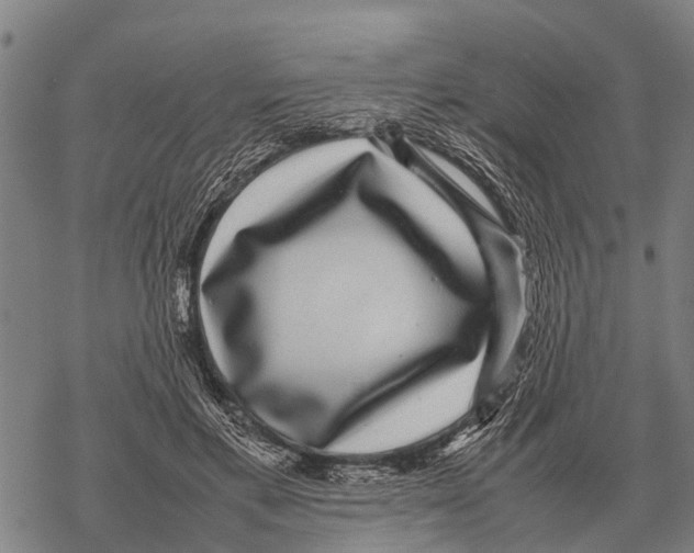 X0000067500597200605051805