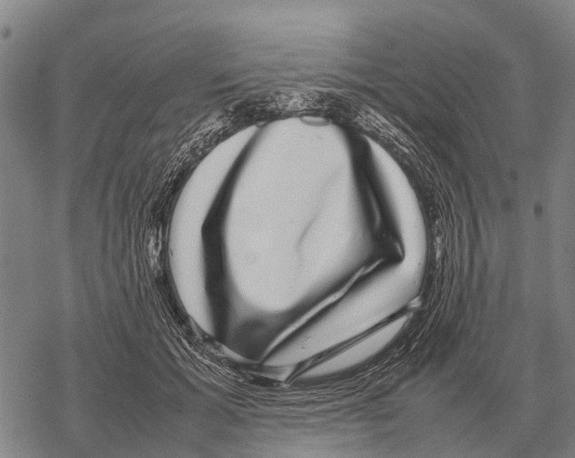 X0000067500605200605051805