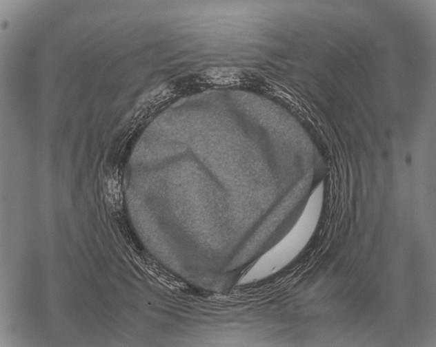 X0000067500609200605051805