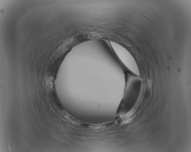 X0000067500621200605051805