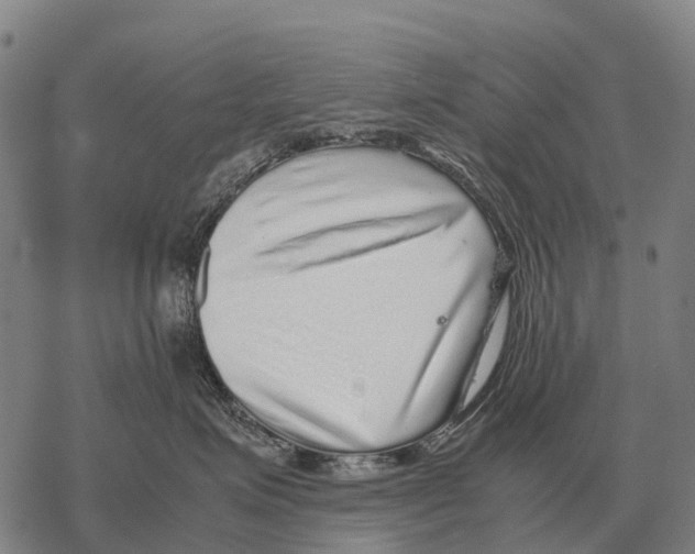 X0000067500623200605051805