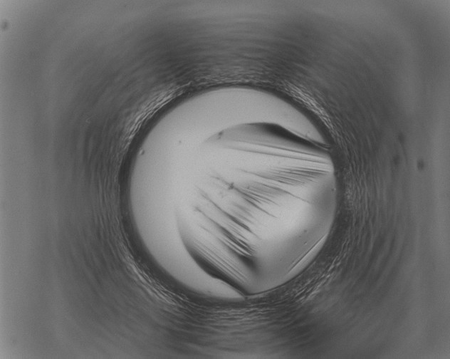 X0000067500635200605051804