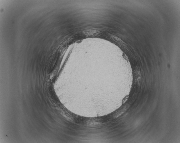 X0000067500664200605051805