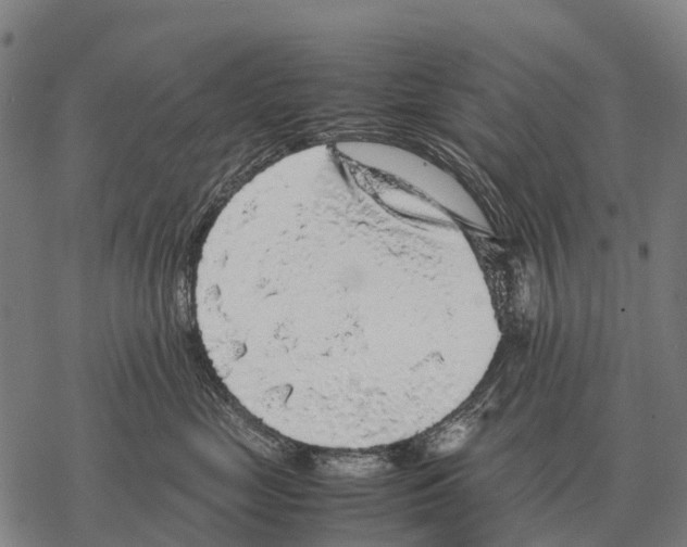X0000067500669200605051805
