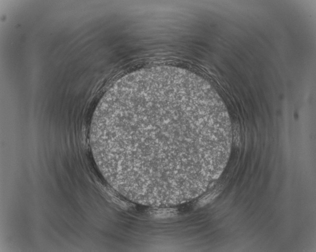 X0000067500670200605051805